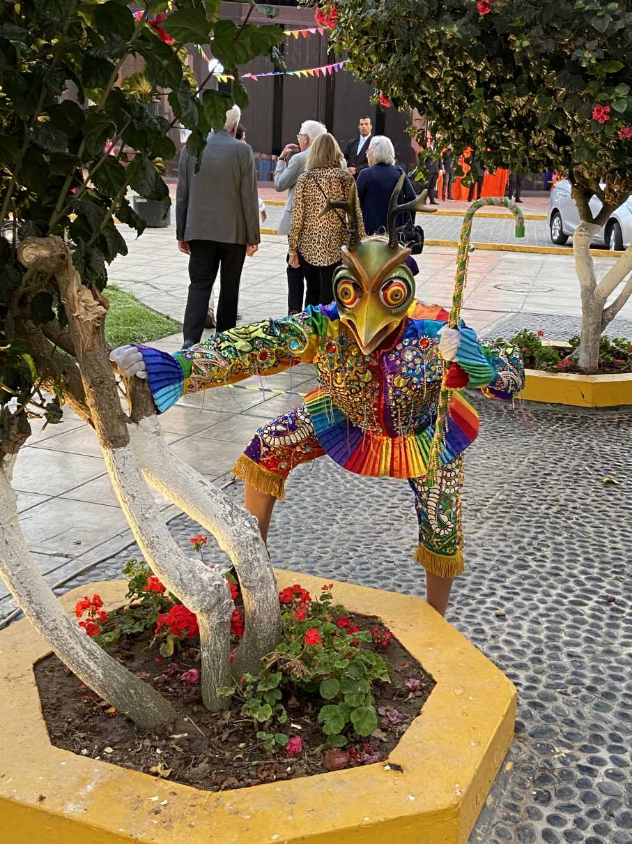 24-01-15-01300-IMG_4341