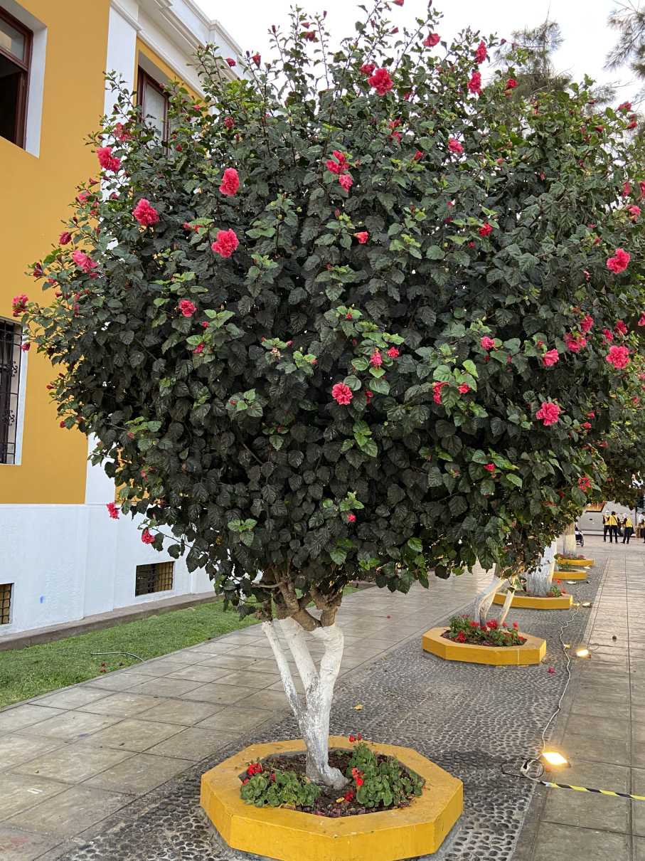 24-01-15-01350-IMG_4342