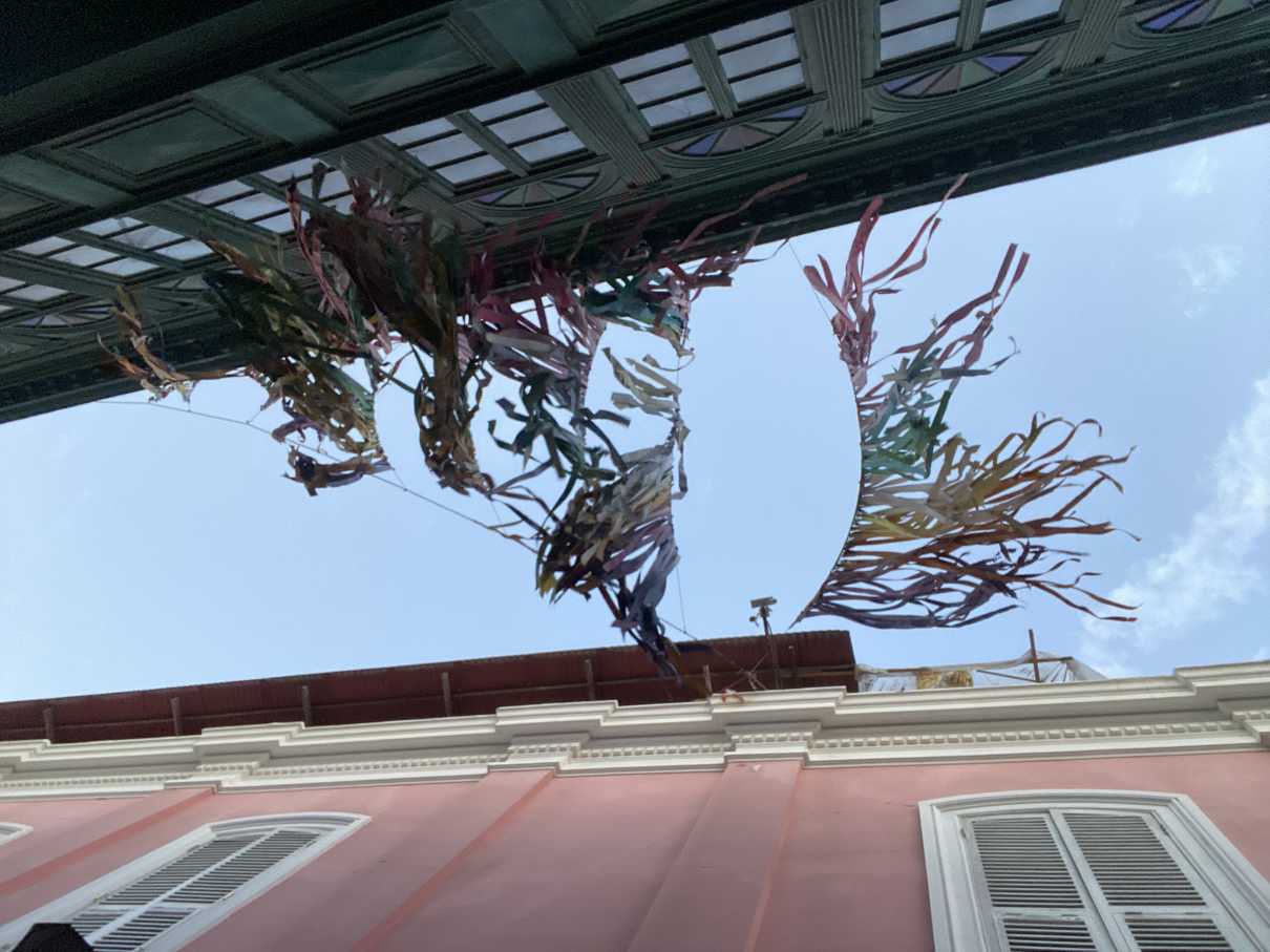 24-01-15-01950-IMG_4354