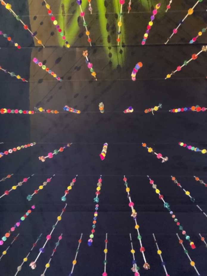 24-01-15-02100-IMG_4360