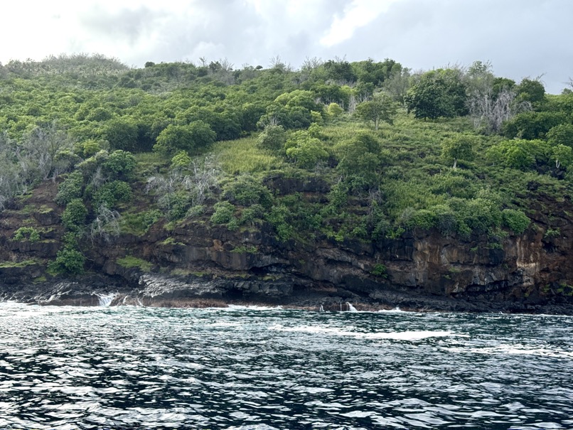 250419_0030_verkleinert-IMG_0661