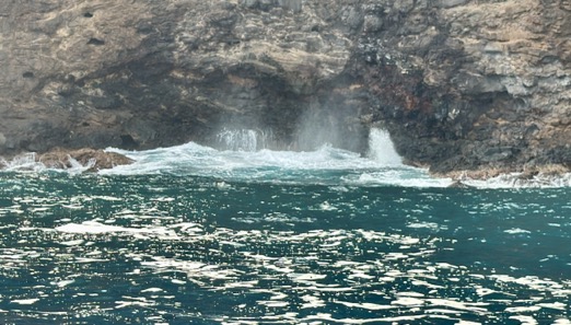 250419_0050_verkleinert-IMG_0677