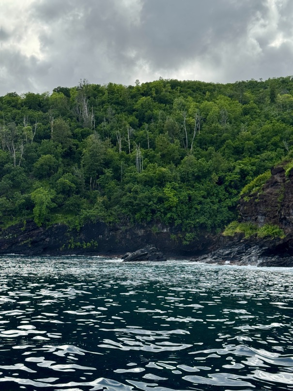 250419_0080_verkleinert-FullSizeRender