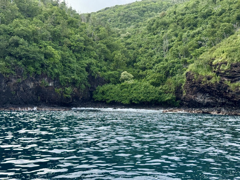 250419_0090_verkleinert-FullSizeRender