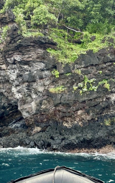 250419_0110_verkleinert-FullSizeRender