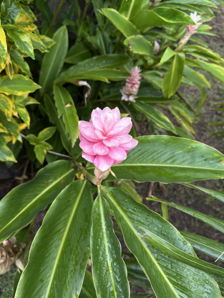 250419_0200_verkleinert-IMG_0841