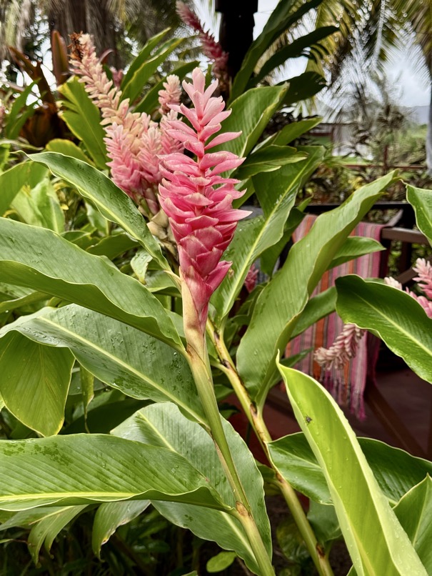 250419_0210_verkleinert-IMG_0842