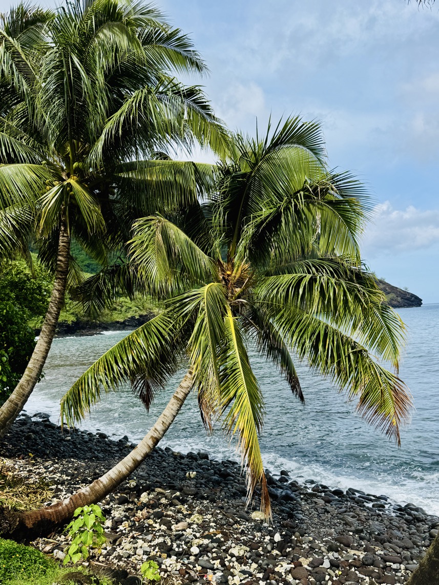 250419_0220_verkleinert-FullSizeRender