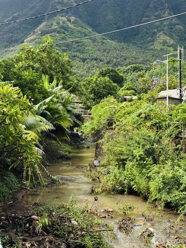 250419_0230_verkleinert-FullSizeRender