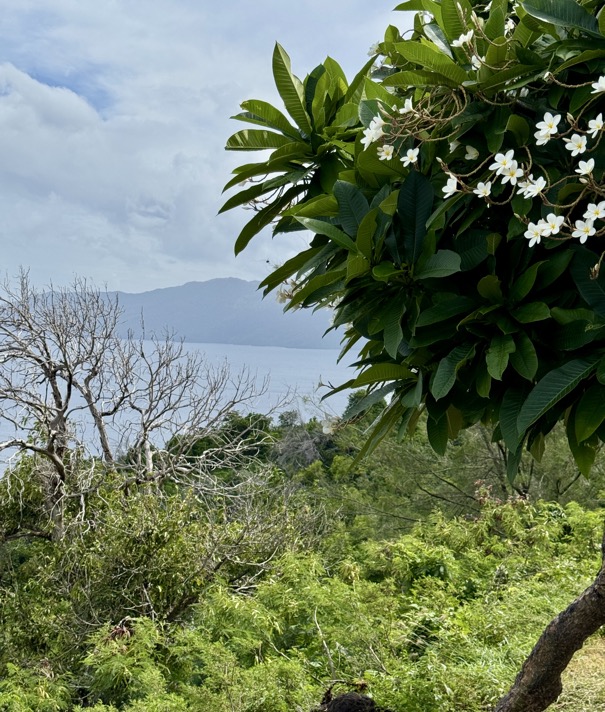 250419_0240_verkleinert-FullSizeRender