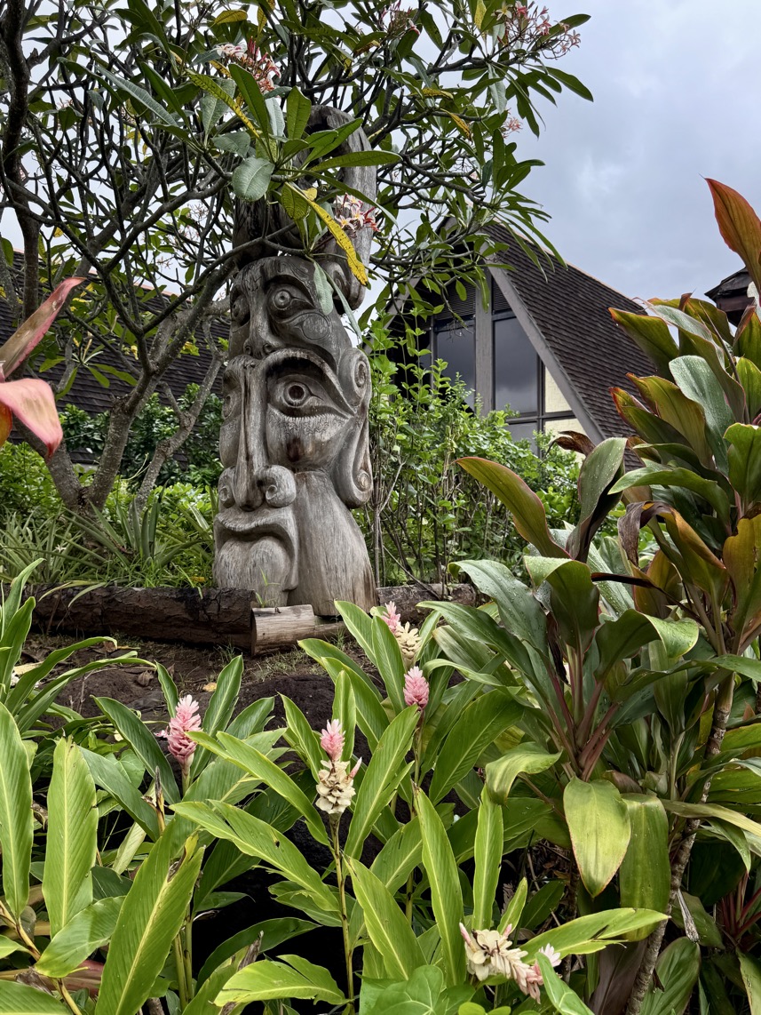 250419_0250_verkleinert-IMG_0848