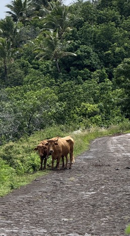 250419_0270_verkleinert-FullSizeRender