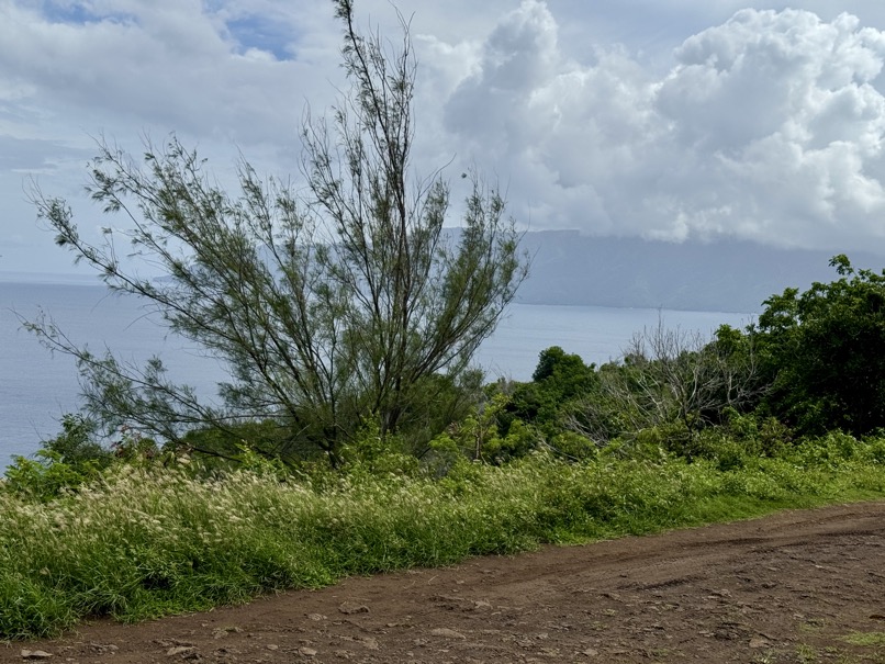 250419_0280_verkleinert-FullSizeRender