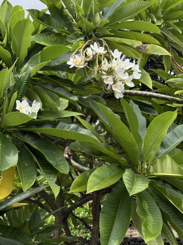 250419_0370_verkleinert-IMG_0787