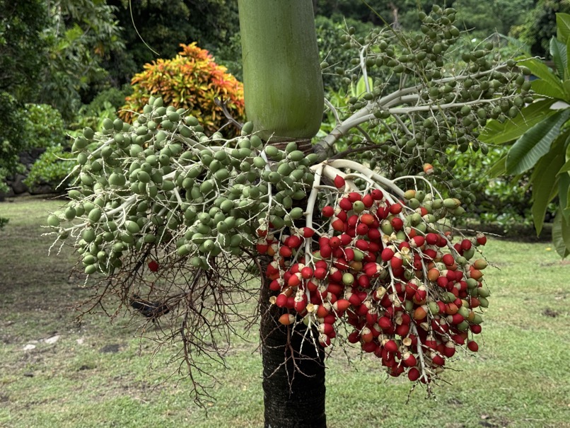 250419_0380_verkleinert-IMG_0788