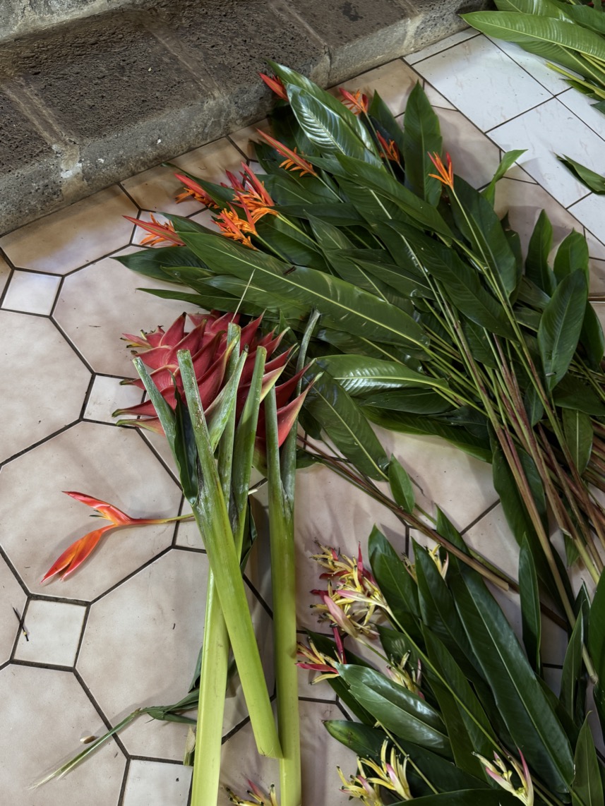 250419_0430_verkleinert-IMG_0794