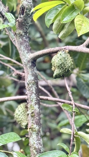 250419_0430_verkleinert-IMG_0878