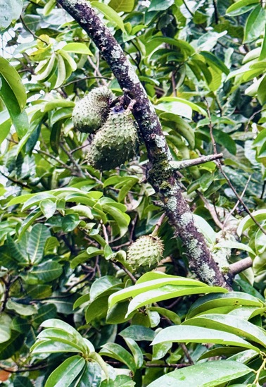 250419_0440_verkleinert-IMG_0879