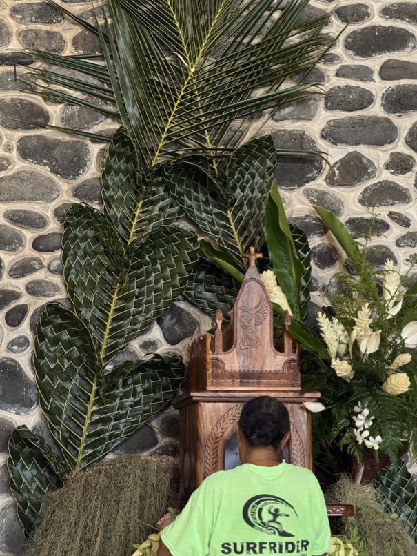 250419_0450_verkleinert-IMG_0796