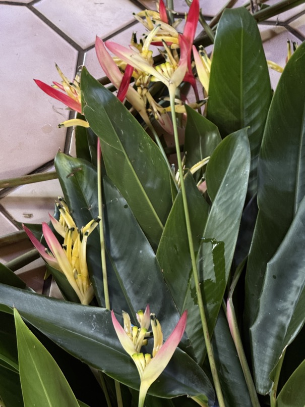 250419_0460_verkleinert-IMG_0797