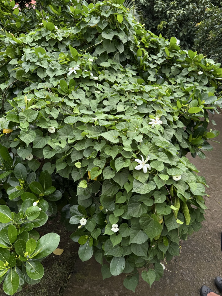 250419_0470_verkleinert-IMG_0801