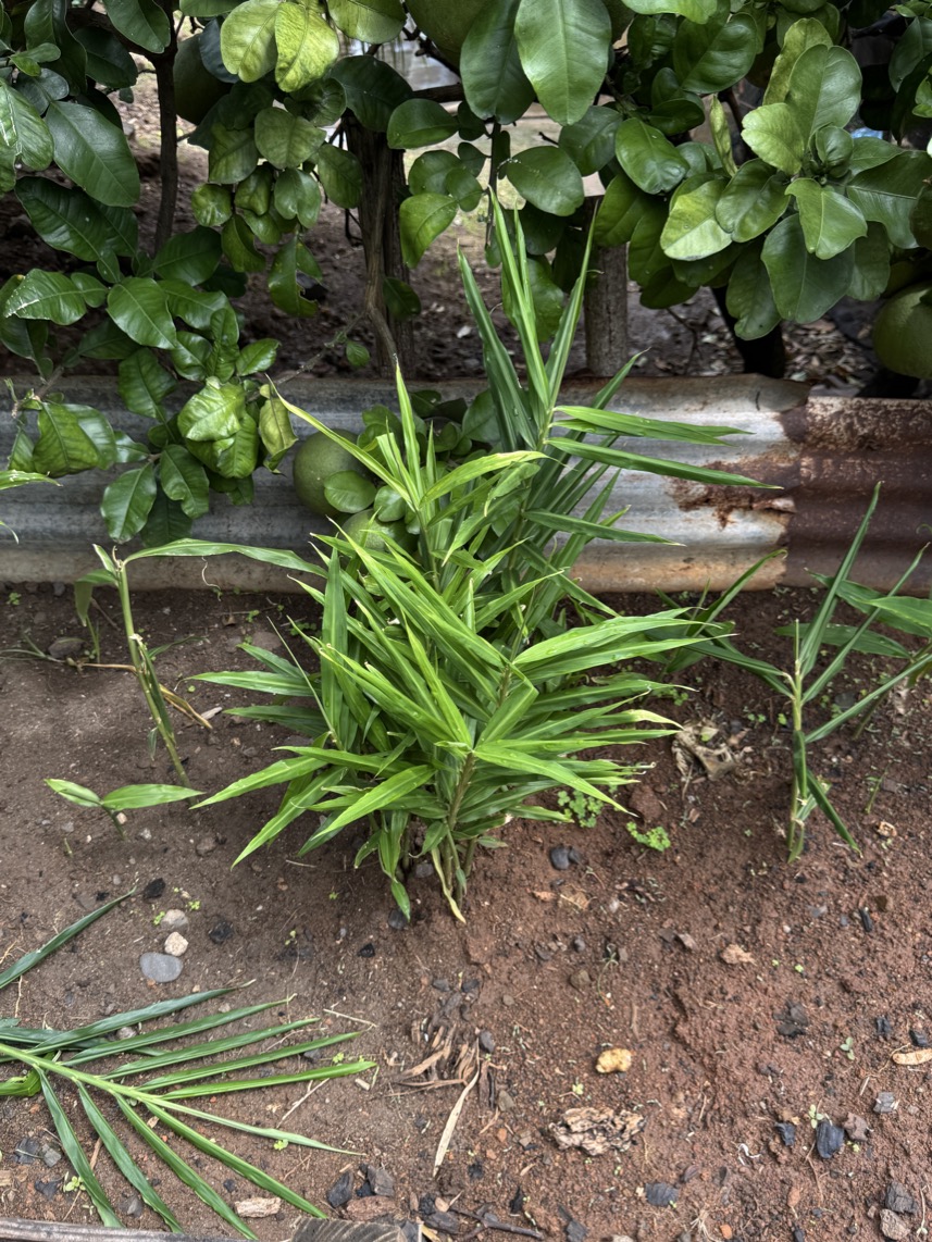 250419_0480_verkleinert-IMG_0802