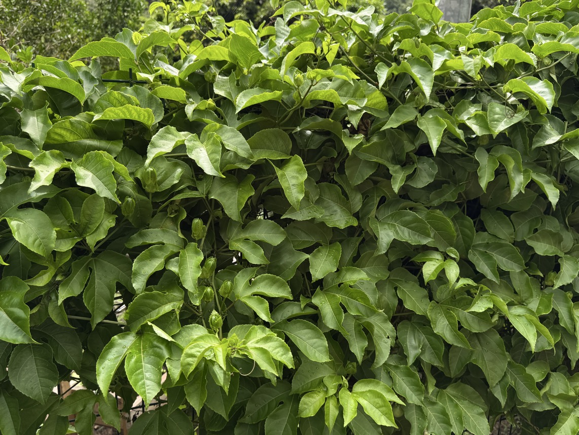 250419_0490_verkleinert-IMG_0803