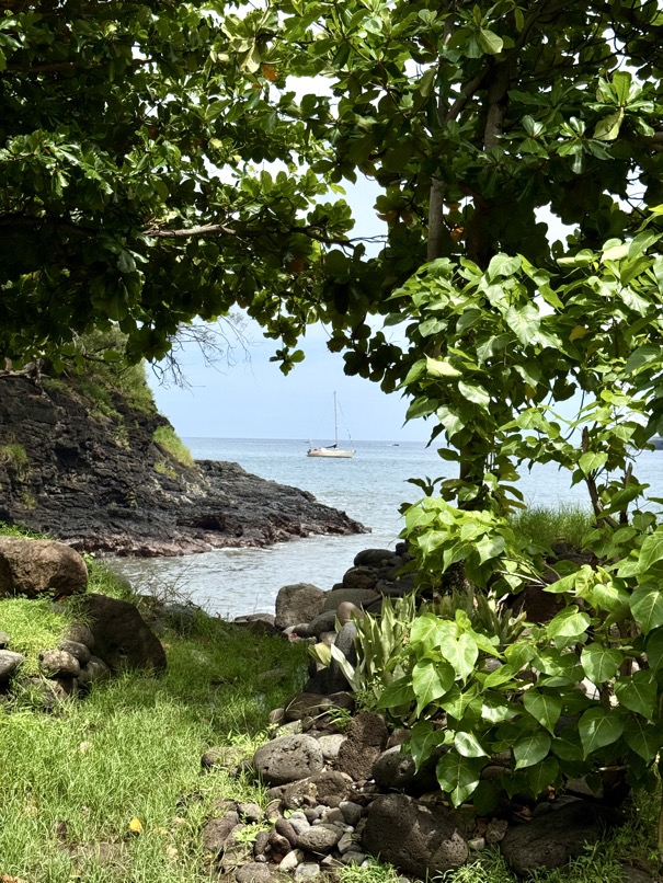 250419_0510_verkleinert-FullSizeRender