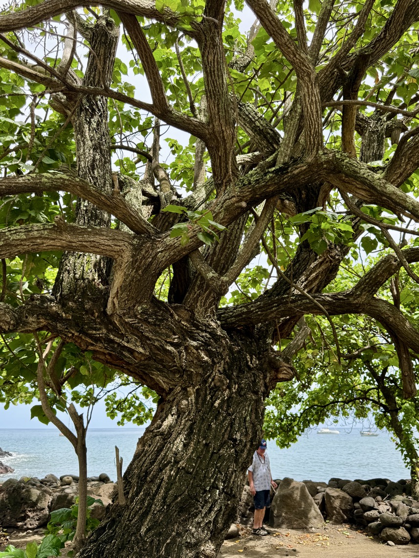 250419_0520_verkleinert-FullSizeRender