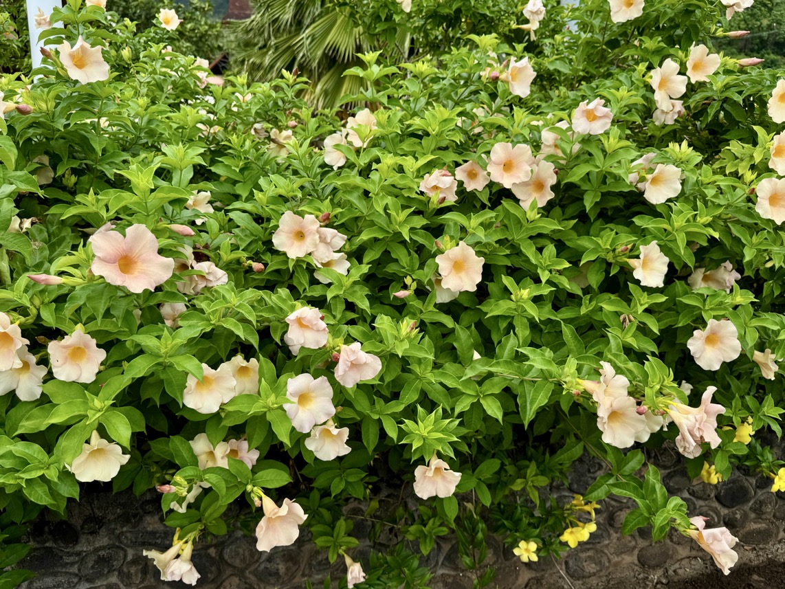 250419_0530_verkleinert-FullSizeRender