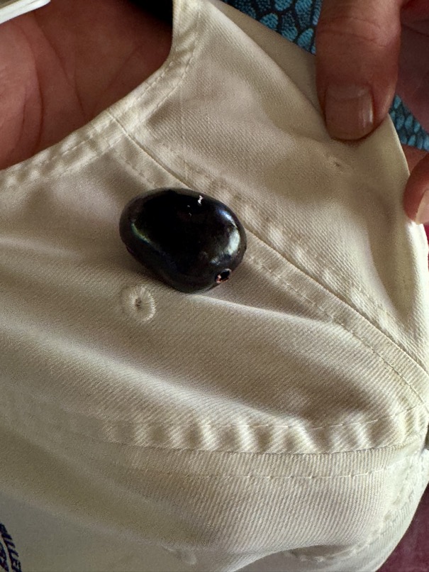 250419_0580_verkleinert-FullSizeRender