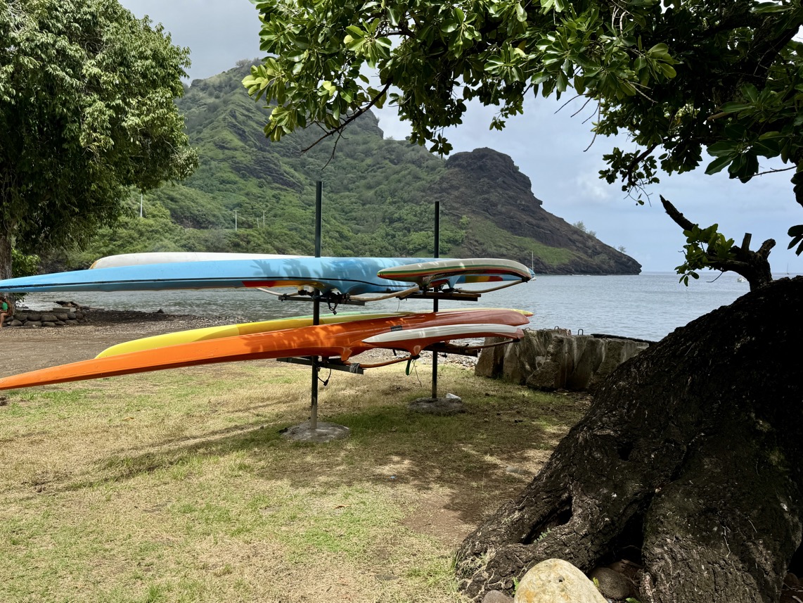 250419_0600_verkleinert-FullSizeRender