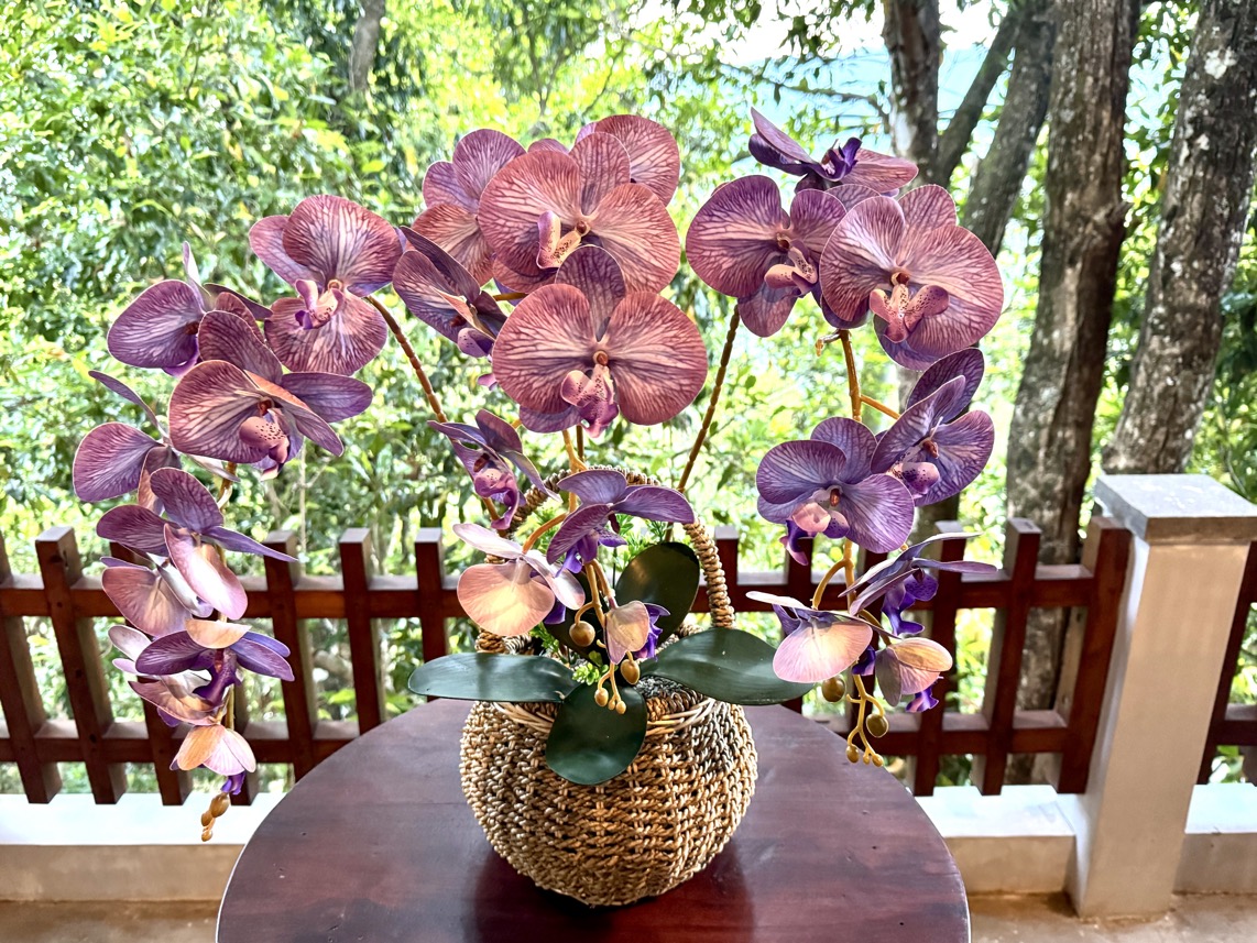 250622_0010_verkleinert-IMG_7033