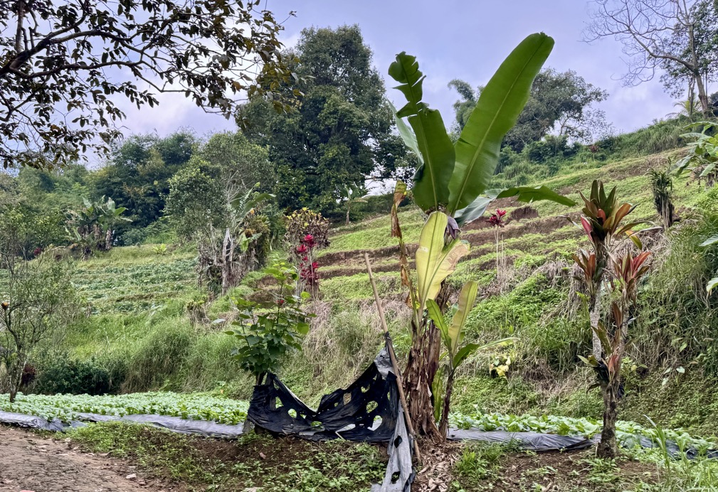 250622_0020_verkleinert-IMG_7036