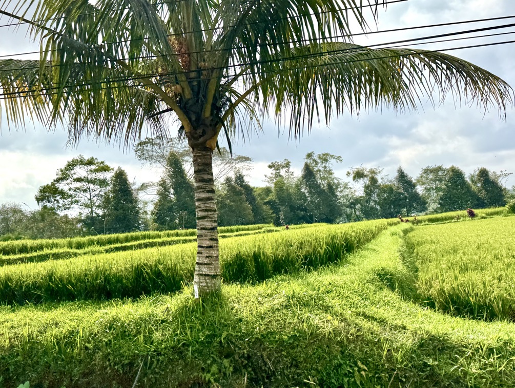 250622_0030_verkleinert-IMG_7038