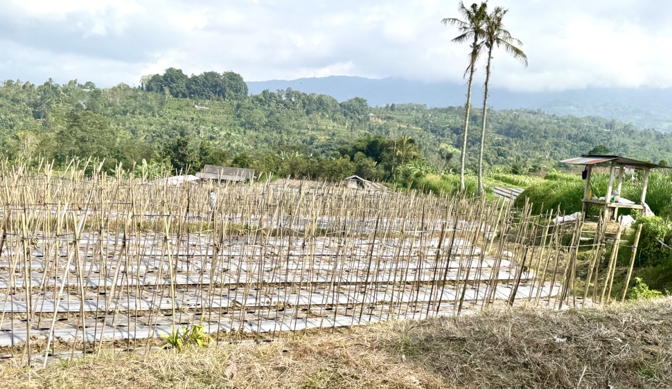 250622_0050_verkleinert-IMG_7040