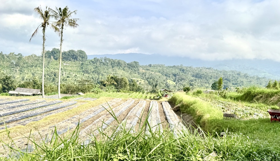 250622_0060_verkleinert-IMG_7041