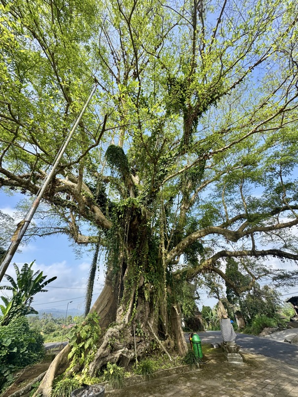 250622_0070_verkleinert-IMG_7042