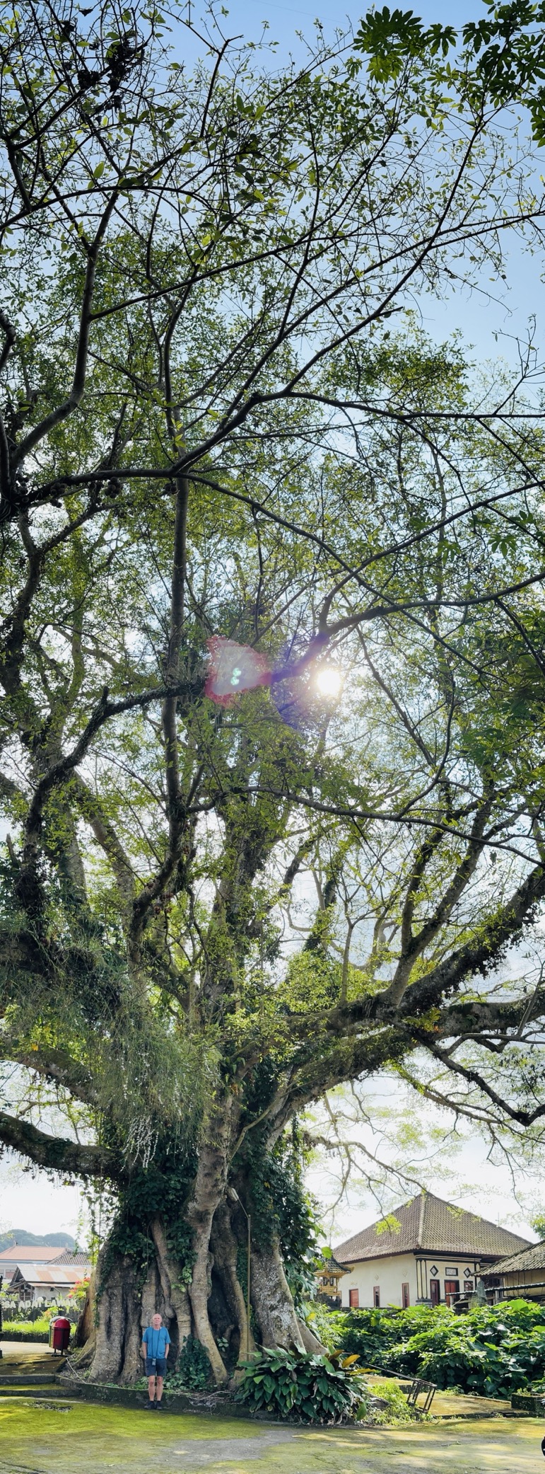 250622_0100_verkleinert-IMG_7045