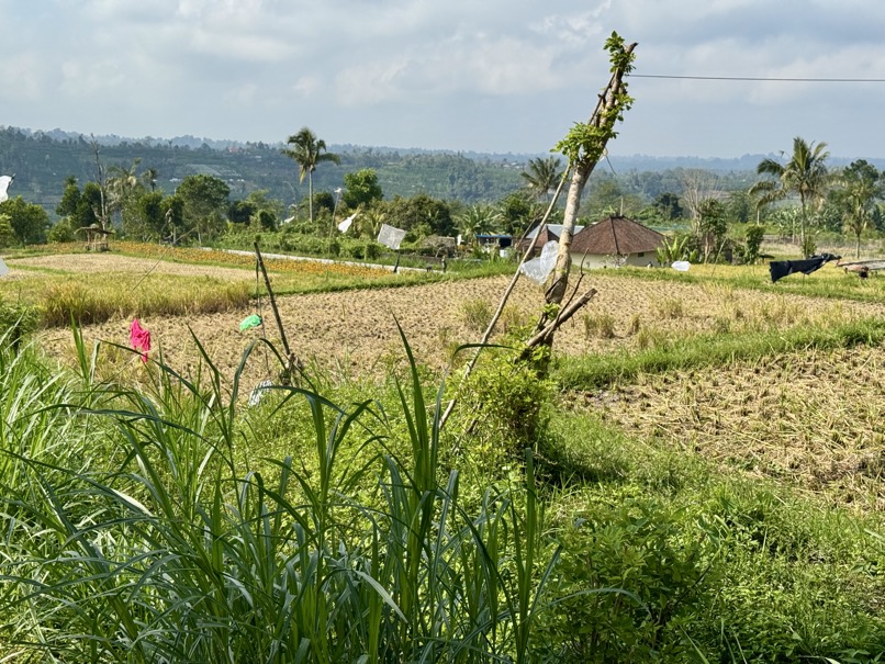 250622_0120_verkleinert-IMG_7047