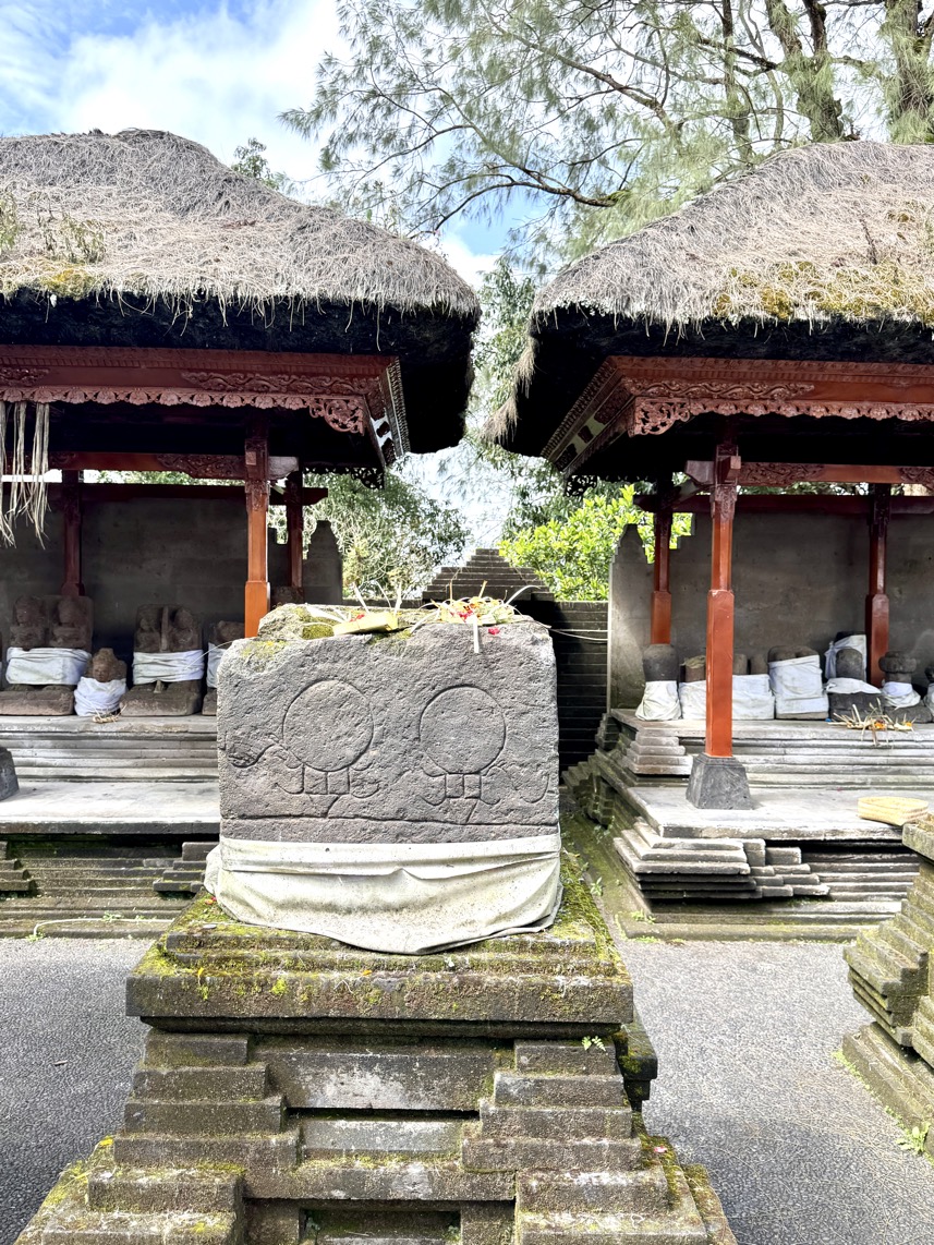 250622_0250_verkleinert-IMG_7066