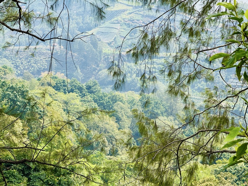 250622_0280_verkleinert-IMG_7070