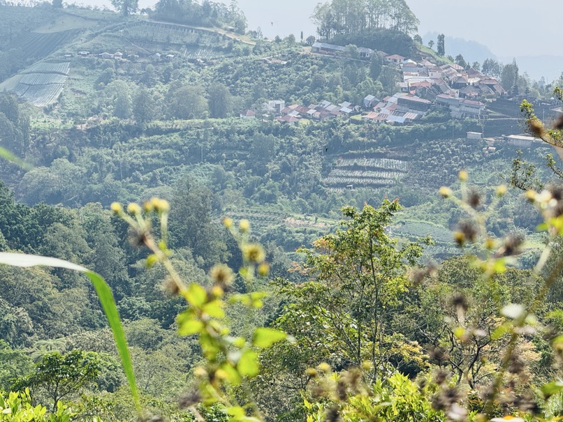 250622_0350_verkleinert-IMG_7077