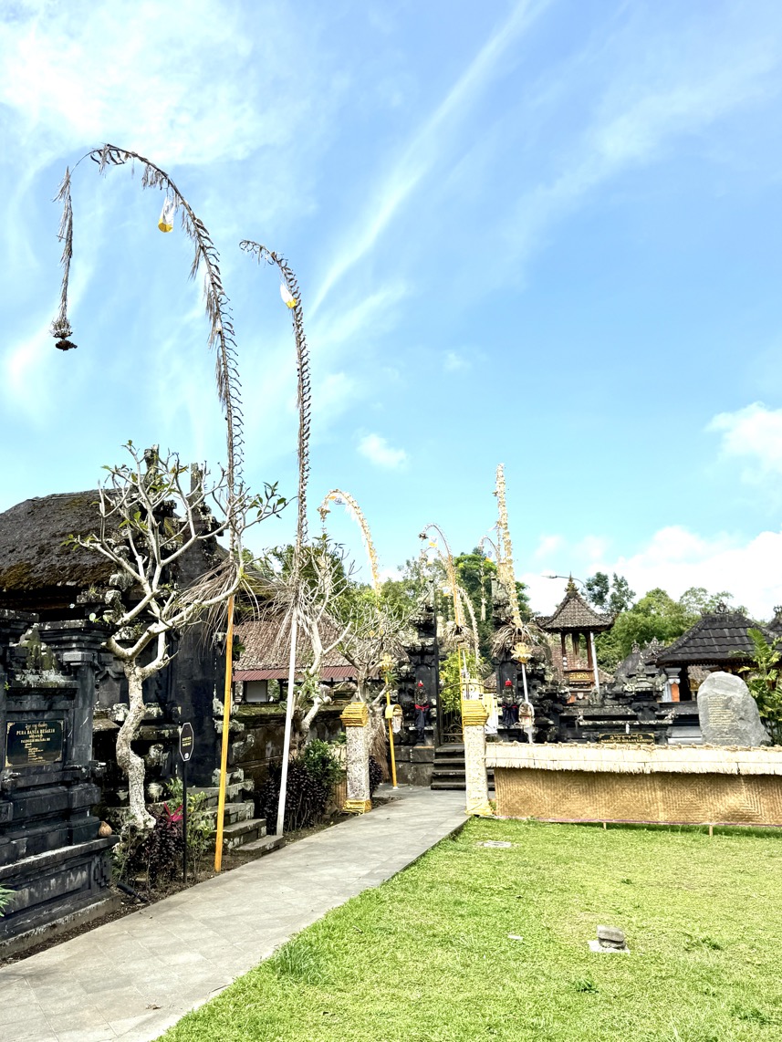 250622_0620_verkleinert-IMG_7113