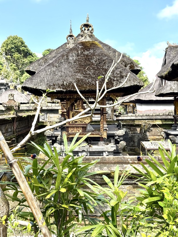 250622_0630_verkleinert-IMG_7114