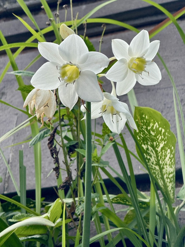 250622_0820_verkleinert-IMG_7135