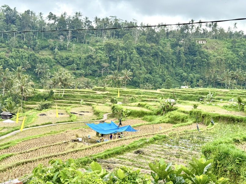 250622_1070_verkleinert-IMG_7166