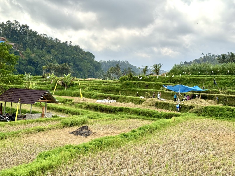 250622_1080_verkleinert-IMG_7167