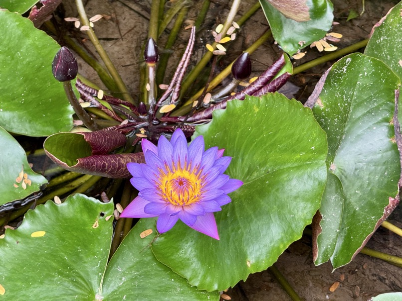 250622_1130_verkleinert-IMG_7172