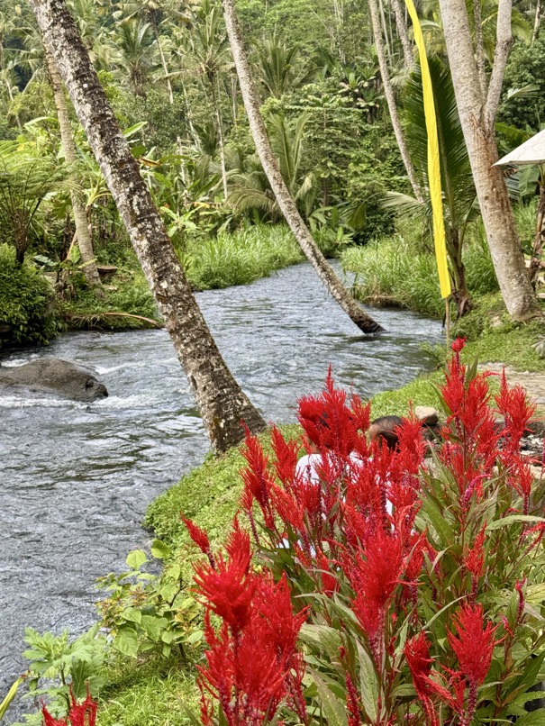 250622_1140_verkleinert-IMG_7173